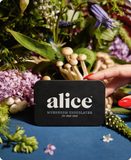 Alice Mushrooms NightCap – 2 Tins (32 Doses)