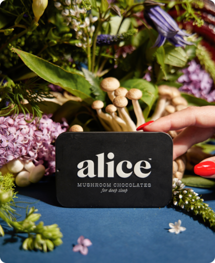 Alice Mushrooms NightCap – 2 Tins (32 Doses)
