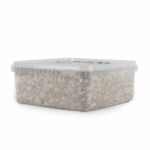 Buy Magic Mushroom Grow Kit B+ XL by Mondo® - Psychedelic Today