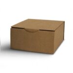 Buy Magic Mushroom Grow Kit B+ XL by Mondo® - Psychedelic Today