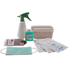 Fresh Mushrooms® Magic Mushroom Grow Kit beginner set - Psychedelic Today