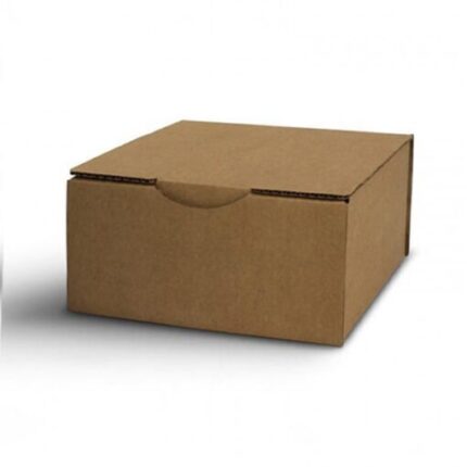 Magic Mushroom Grow Kit Mazatapec by Mondo® - Psychedelic Today