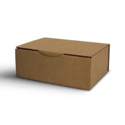 Magic Mushroom Grow Kit PES Amazon by Mondo® - Psychedelic Today