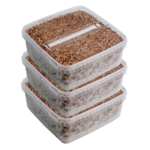 Mushroom Growing Kit