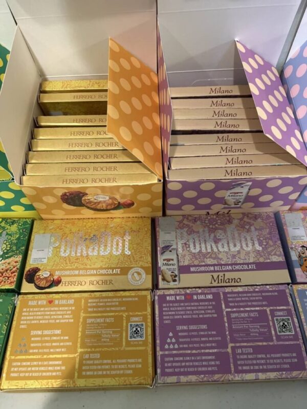 PolkaDot Mushroom Chocolate Box | Bulk/Wholesale