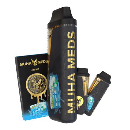 APPLE GELATO ICE | HYBRID - Muha Meds Shop